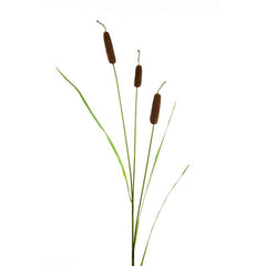 Floralsilk Large Bull Rush Stem - 3 Heads (93cm) image 0