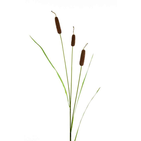 Floralsilk Large Bull Rush Stem - 3 Heads (93cm) image 0