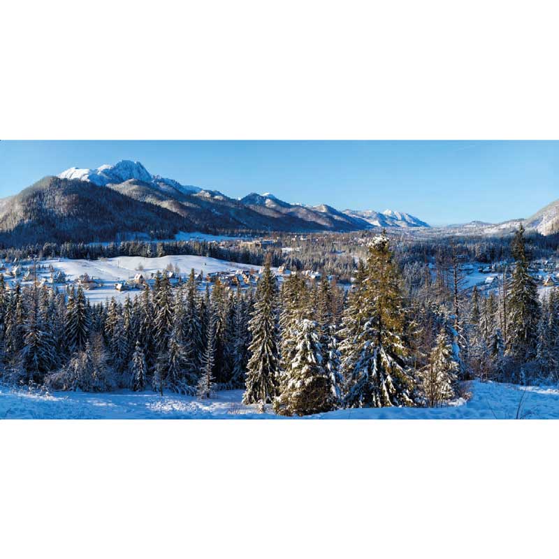 My Village Winter Village XL Cloth Background image 0
