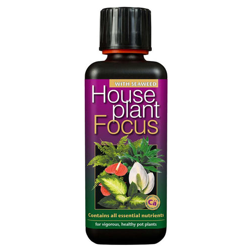 Growth Technology Houseplant Focus with Seaweed - 300ml image