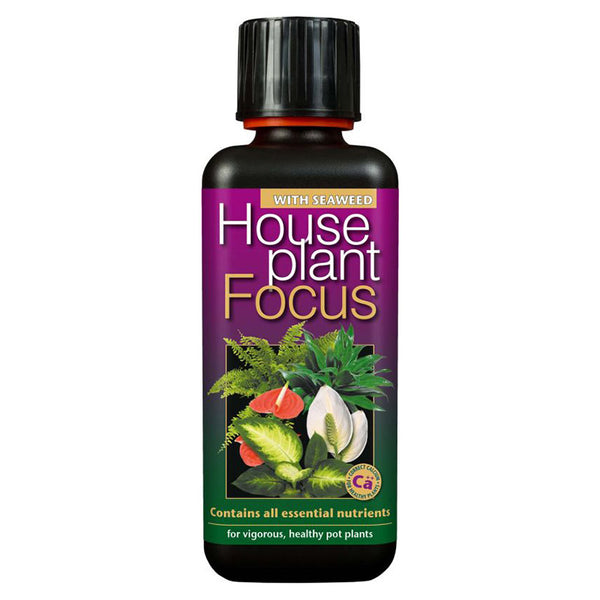 Growth Technology Houseplant Focus with Seaweed - 300ml image