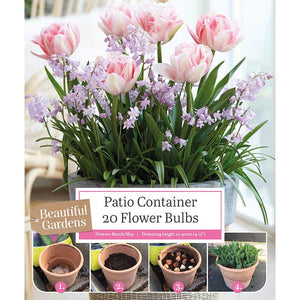 Patio Container Tulip & Chionodoxa Mix (20 Bulbs) image 0