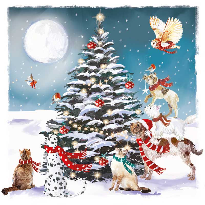 Ling Design Charity Christmas Cards - Magical Night (Pack of 6) image 0