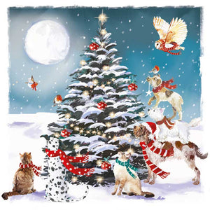 Ling Design Charity Christmas Cards - Magical Night (Pack of 6) image 0