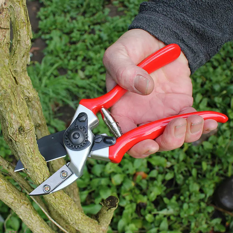 Darlac Expert Anvil Pruner image 0