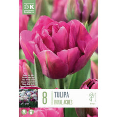 Tulip Double ‘Royal Acres’ (8 Bulbs) image 0