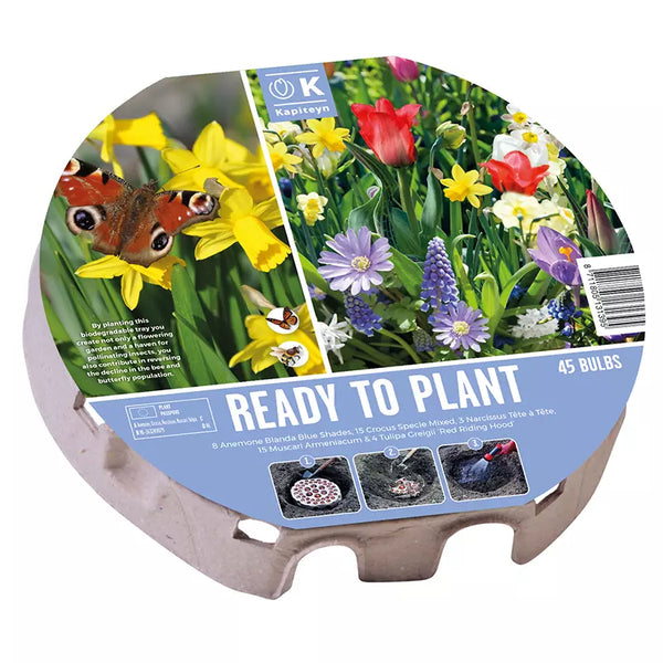Ready to Plant Plant-O-Mat Mixed Bulbs 38cm/15" (45 bulbs) image 0