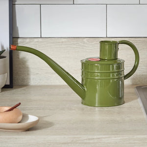 GroZone Home & Balcony Watering Can - Sage Green (1 litre) image 1