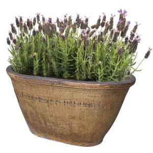 Errington Reay & Co. Ltd Courtyard Oval Tub Old Leather (Medium S3) image 0