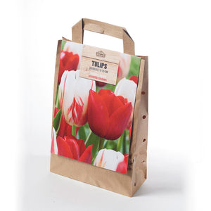 Double Tulip White and Red Mix in a Gift Bag (20 Bulbs) image 0