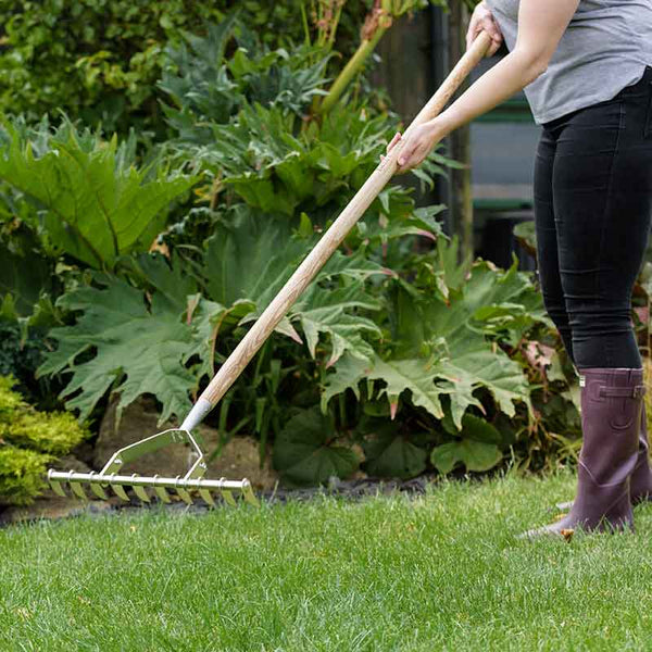Kent & Stowe Stainless Steel Scarifying Rake image 1
