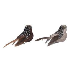 Gisela Graham Sparkling Natural Feather Bird Clip (Assorted Designs) image 0