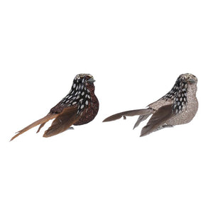Gisela Graham Sparkling Natural Feather Bird Clip (Assorted Designs) image 0