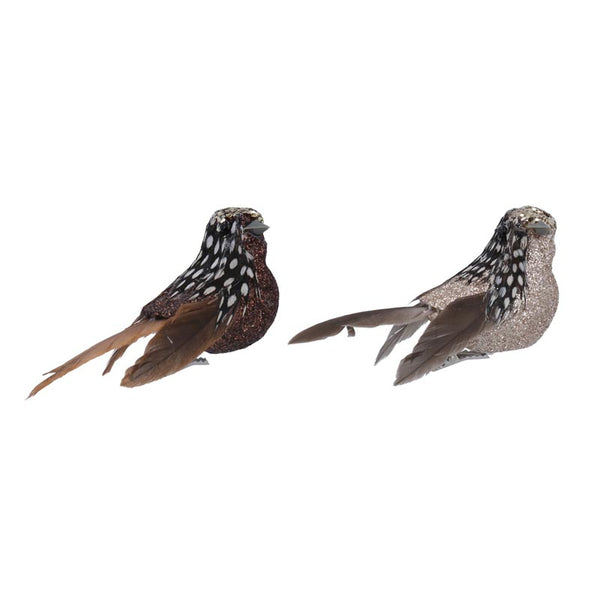 Gisela Graham Sparkling Natural Feather Bird Clip (Assorted Designs) image 0