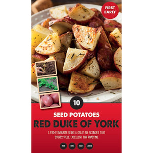 Red Duke of York First Early Seed Potatoes - Pack of 10 image