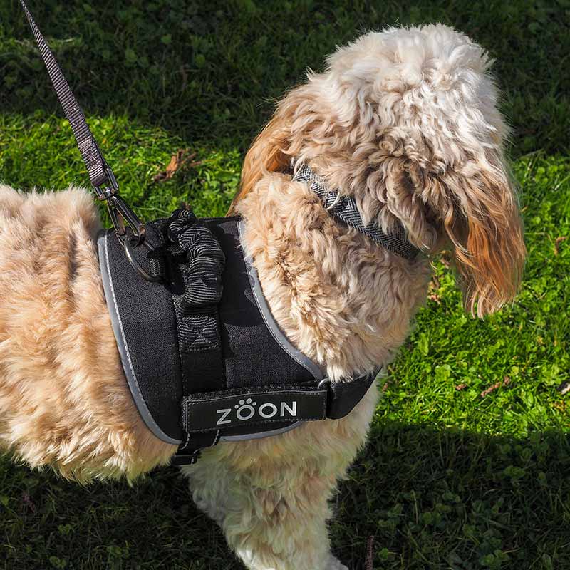 Zoon Jet Advanced Slip-on Walkabout Dog Harness image 0