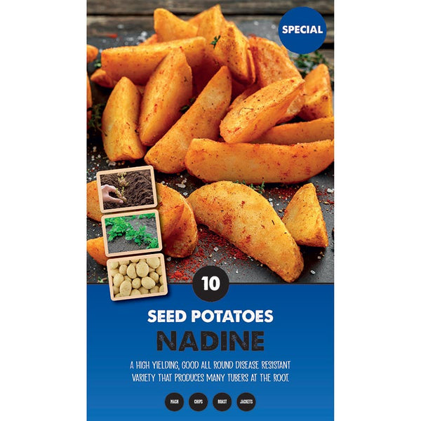 Nadine Second Early Seed Potatoes - Pack of 10 image