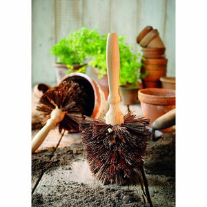 Oiled Beechwood Flowerpot Cleaning Brush image 1