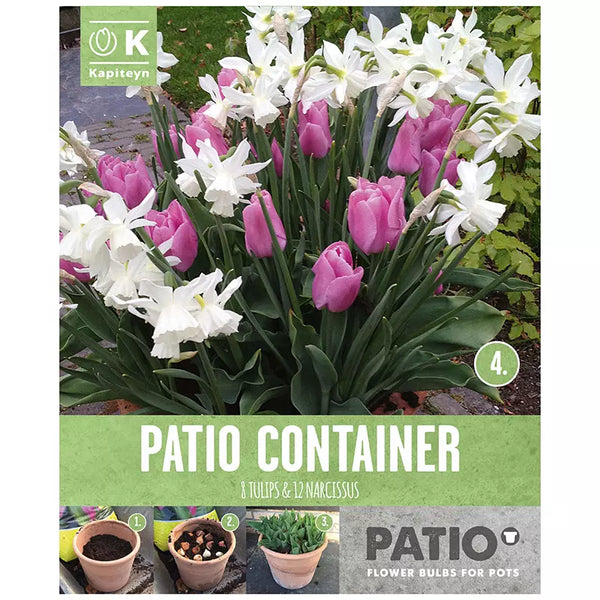 Tulip & Narcissus Patio Container Collection 'White & Pink' (20 bulbs) image 0
