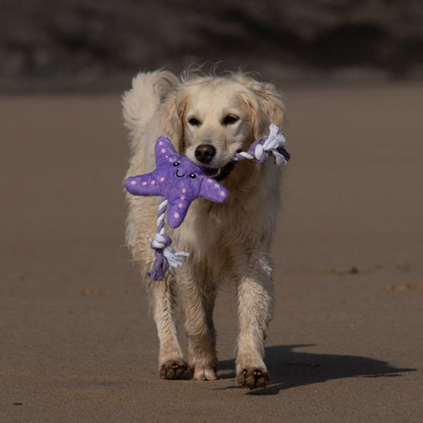 Petface Samantha Starfish Plush Dog Toy image 3