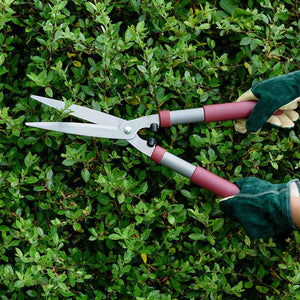 Kent & Stowe Garden Life Hedge Shears image 1