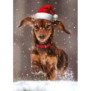 Ling Design Big Value Box - Christmas Animals (Pack of 24) image 7