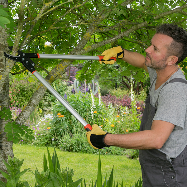 Wilkinson Sword Ratchet Anvil Loppers image 1