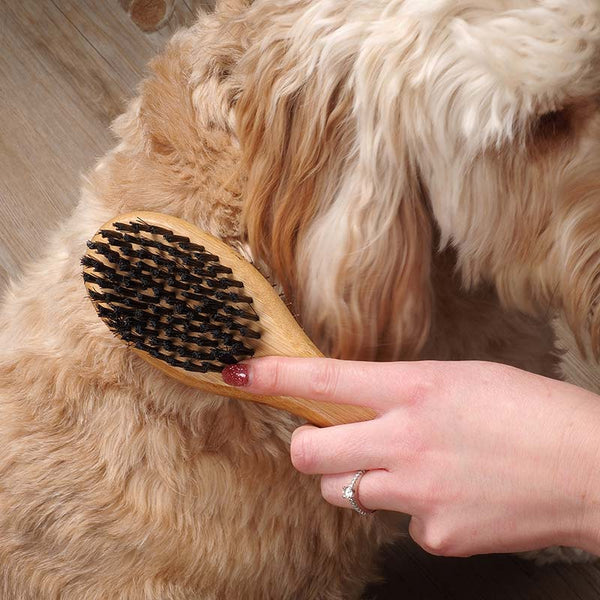 Zoon Double Sided Brush image 2