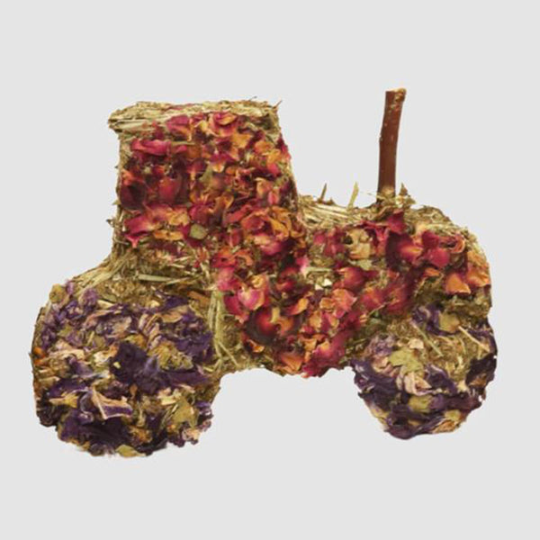 Norfolk Pastures Hedgerow Herbs Tractor Treat 50g image 0