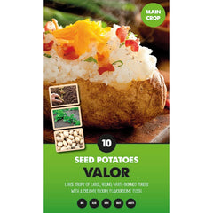 Valor Main Crop Seed Potatoes (Pack of 10) image 0
