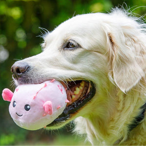Petface Pippa Puffer Fish Dog Toy image 5