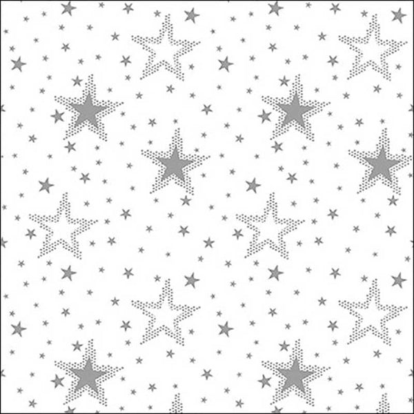 Ambiente Paper Napkins - Silver & White Night Sky (Pack of 20) image 0