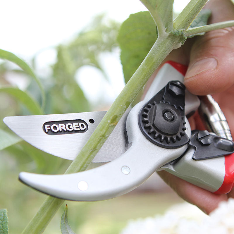 Darlac Expert Drop Forged Bypass Pruner image 0
