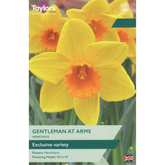 Narcissus ‘Gentleman At Arms’ Daffodil (7 Bulbs) image 0