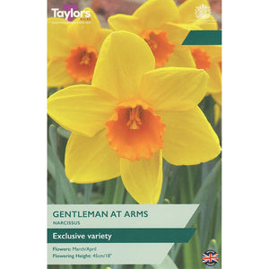 Narcissus ‘Gentleman At Arms’ Daffodil (7 Bulbs) image 0