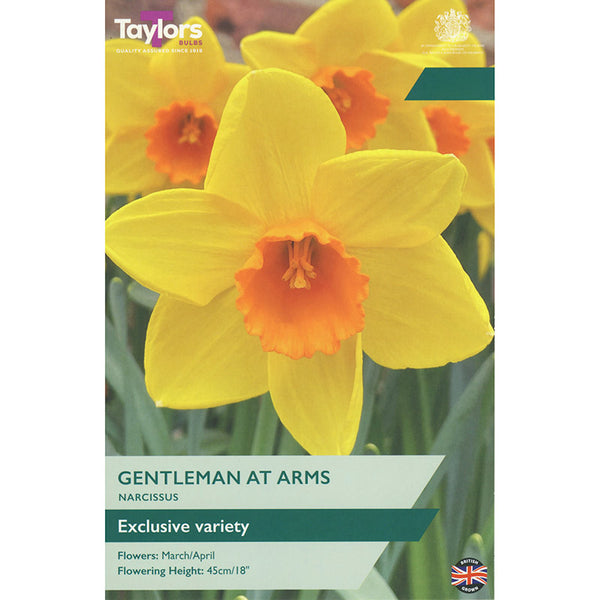 Narcissus ‘Gentleman At Arms’ Daffodil (7 Bulbs) image 0