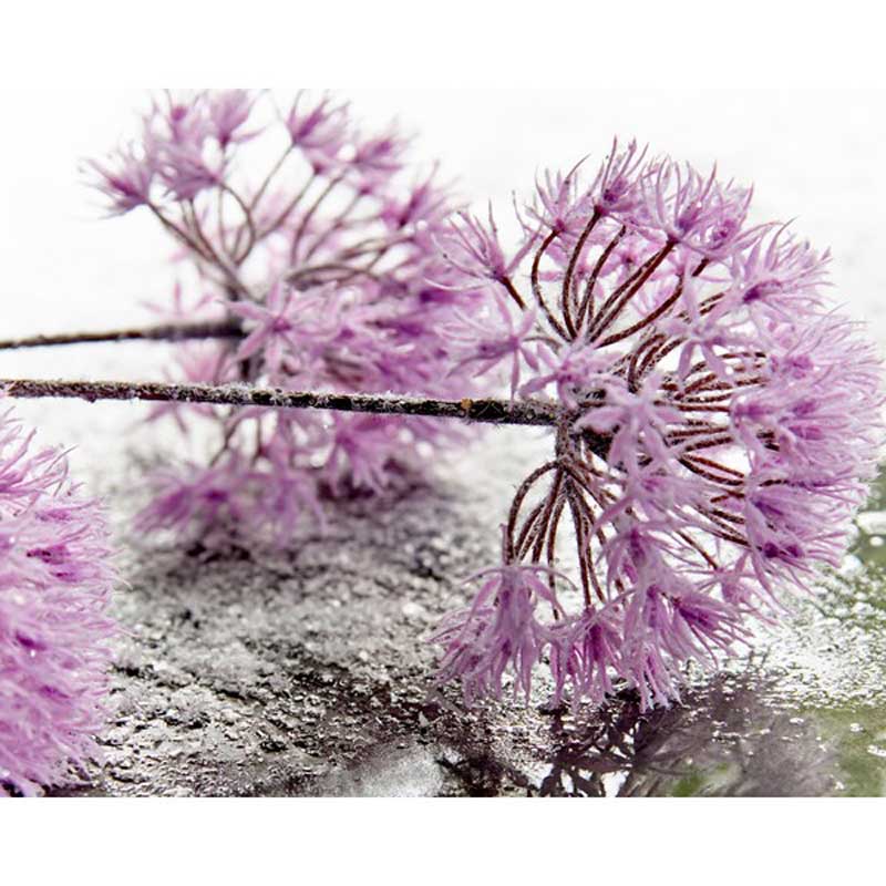 Everlands Purple Allium Spray - 3 Heads (80cm) image 0