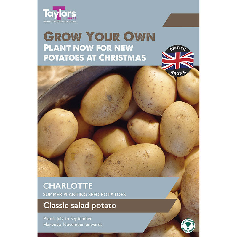 'Charlotte' Christmas Harvest Summer Planting Seed Potatoes (Pack of 10) image 0