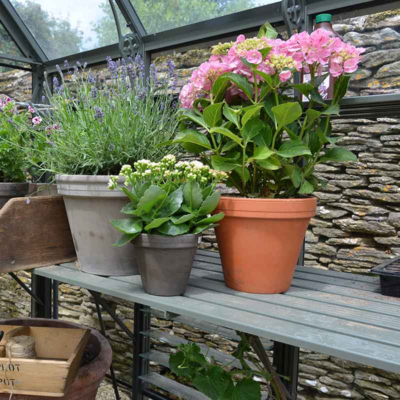 Woodlodge Spang Terracotta Standard Pot image 0