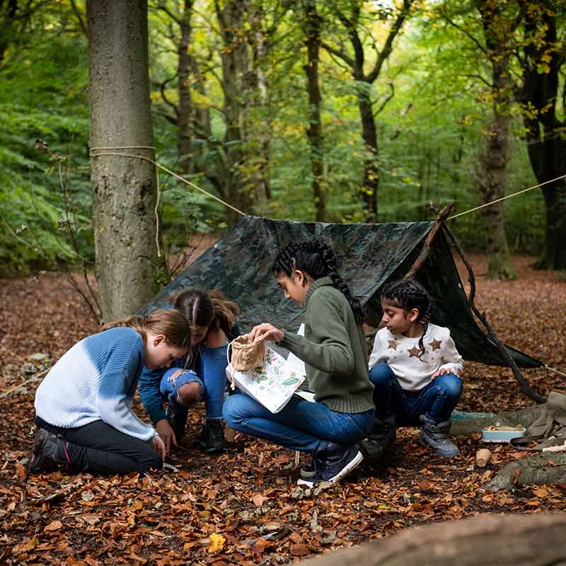 The British Woodland Den Kit image 0