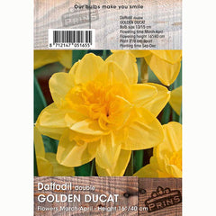 Narcissus ‘Golden Ducat’ Daffodil Bulbs