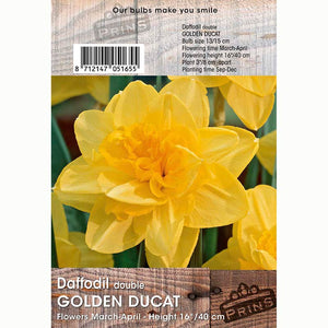 Narcissus ‘Golden Ducat’ Daffodil Bulbs