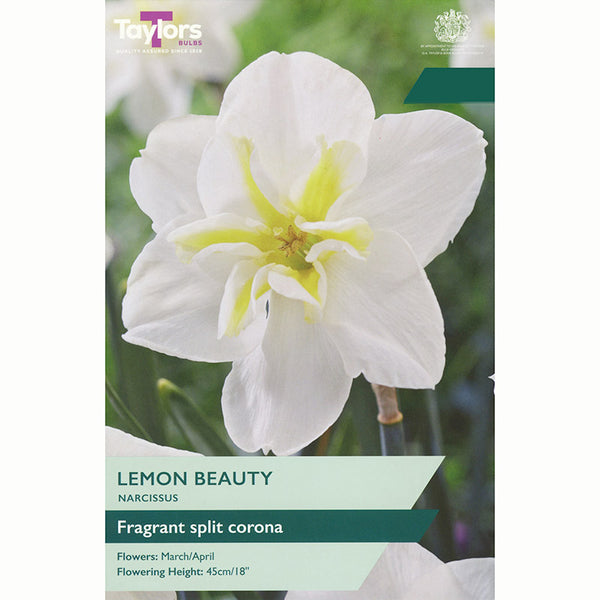 Narcissus ‘Lemon Beauty’ Daffodil (5 Bulbs)