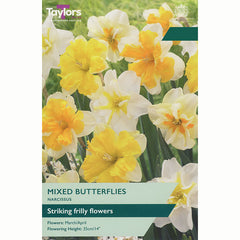 Narcissus ‘Mixed Butterflies’ Mixed Butterfly Daffodils (5 Bulbs)