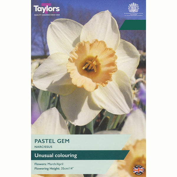 Narcissus ‘Pastel Gem’ Daffodil (7 Bulbs)