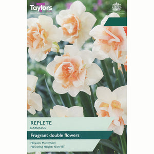 Narcissus ‘Replete’ Daffodil (5 Bulbs)