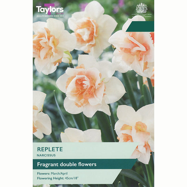 Narcissus ‘Replete’ Daffodil (5 Bulbs)