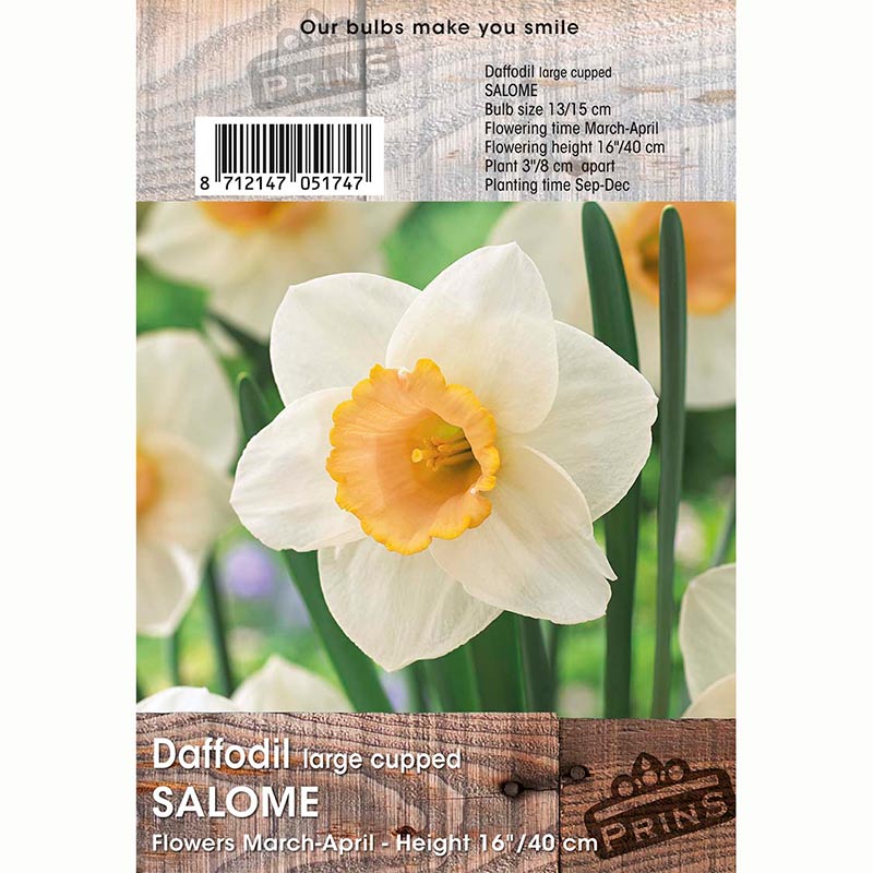 Daffodil Salome 3kg Bag of Bulbs