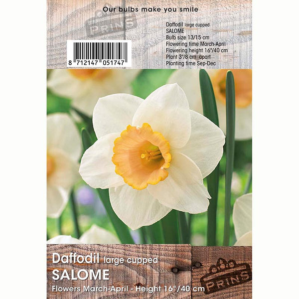 Daffodil Salome 3kg Bag of Bulbs