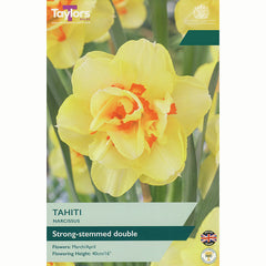 Narcissus ‘Tahiti’ Double Daffodil (5 Bulbs)